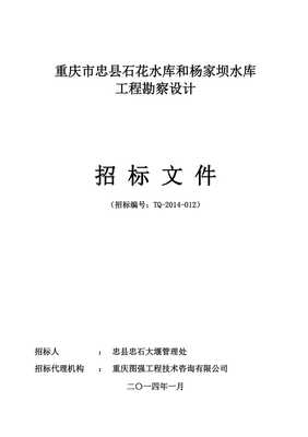 重庆某水库工程勘察设计招标文件——工程勘察设计专业分析